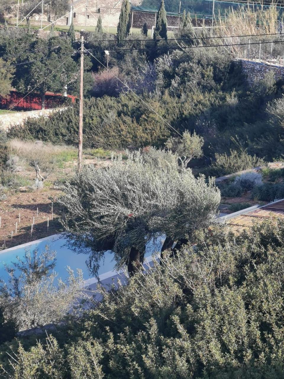 Olithos Villas Krotiri Exterior photo